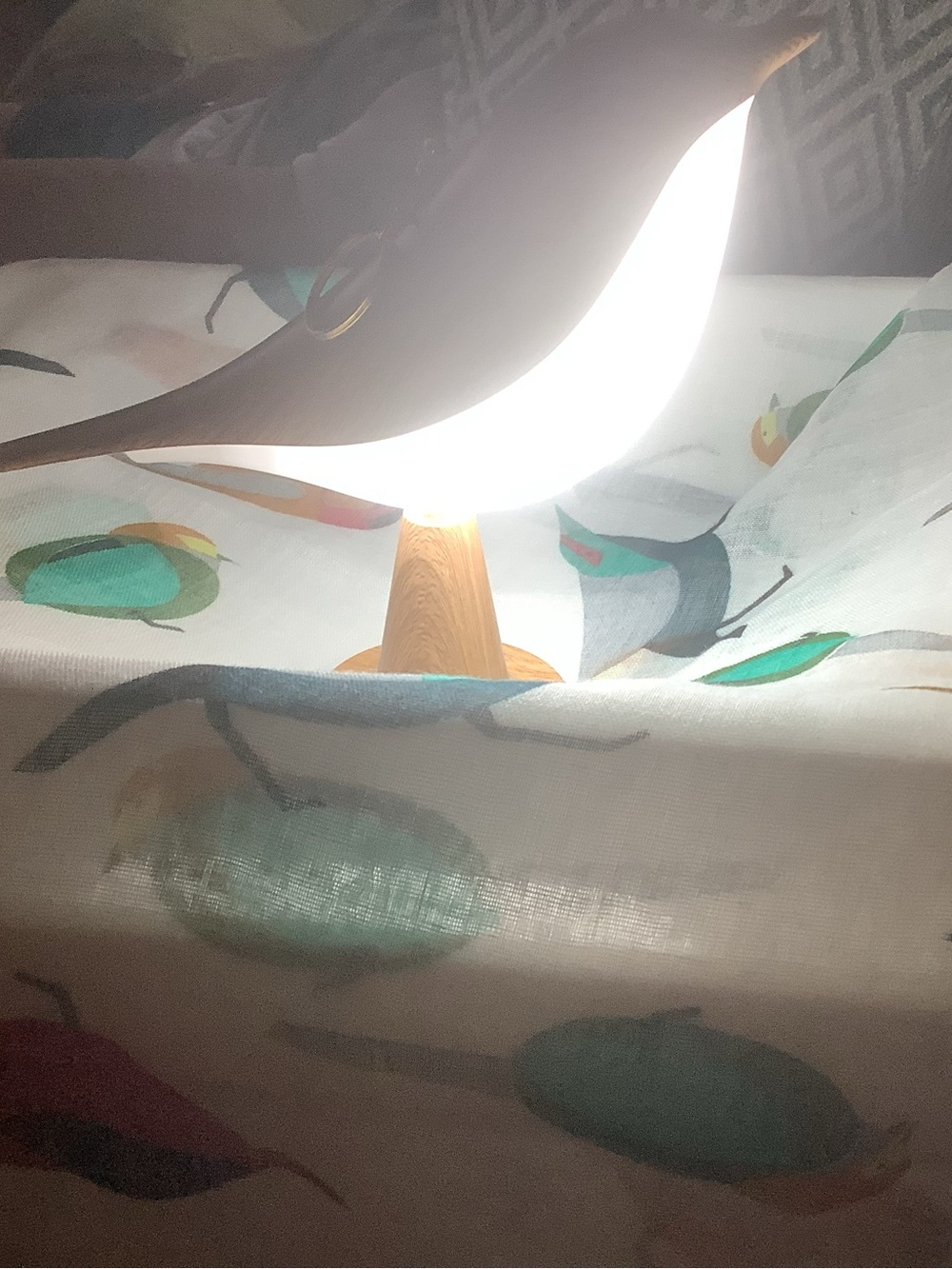 Birds of a feather..you know..bird light and large scarf